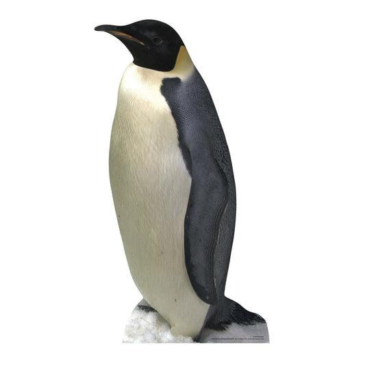 Penguin Wildlife Theme Animal Cardboard Cutout - mycardboardcutout