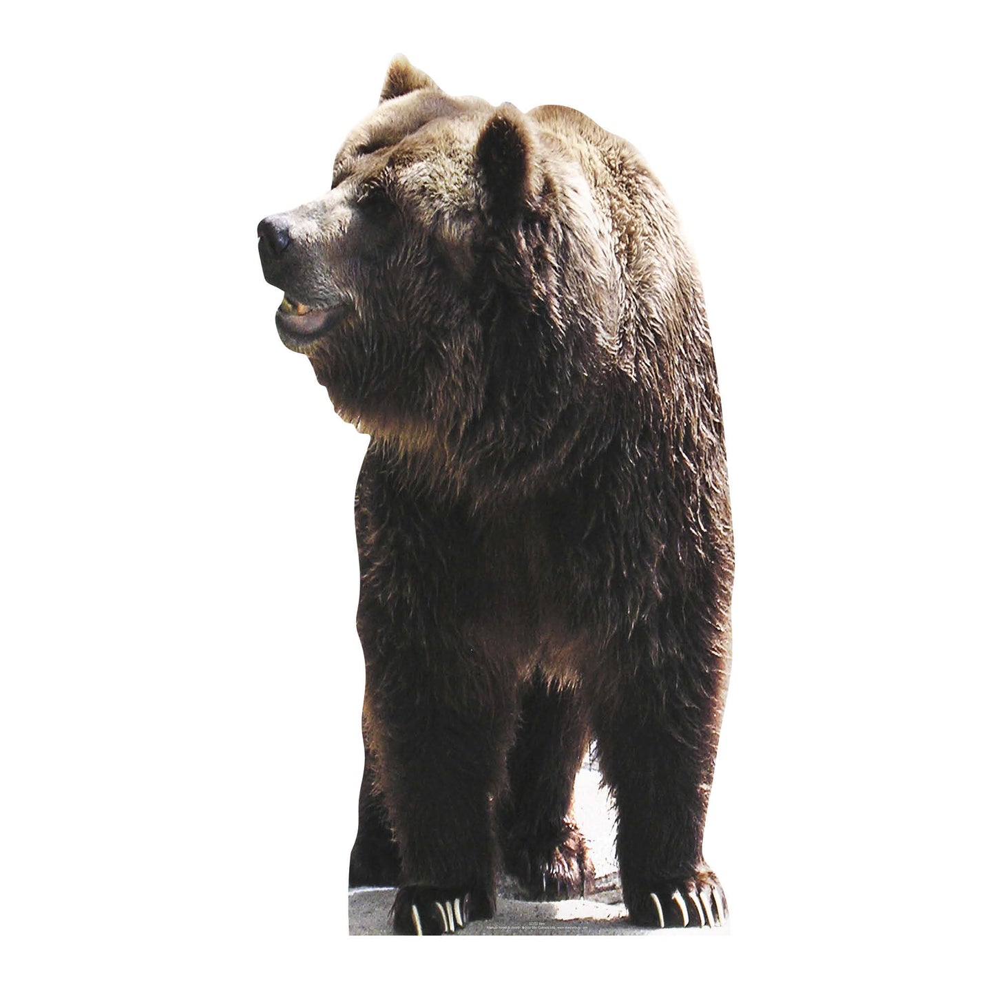 Bear Jungle Safari Theme Animal Cardboard Cutout - mycardboardcutout