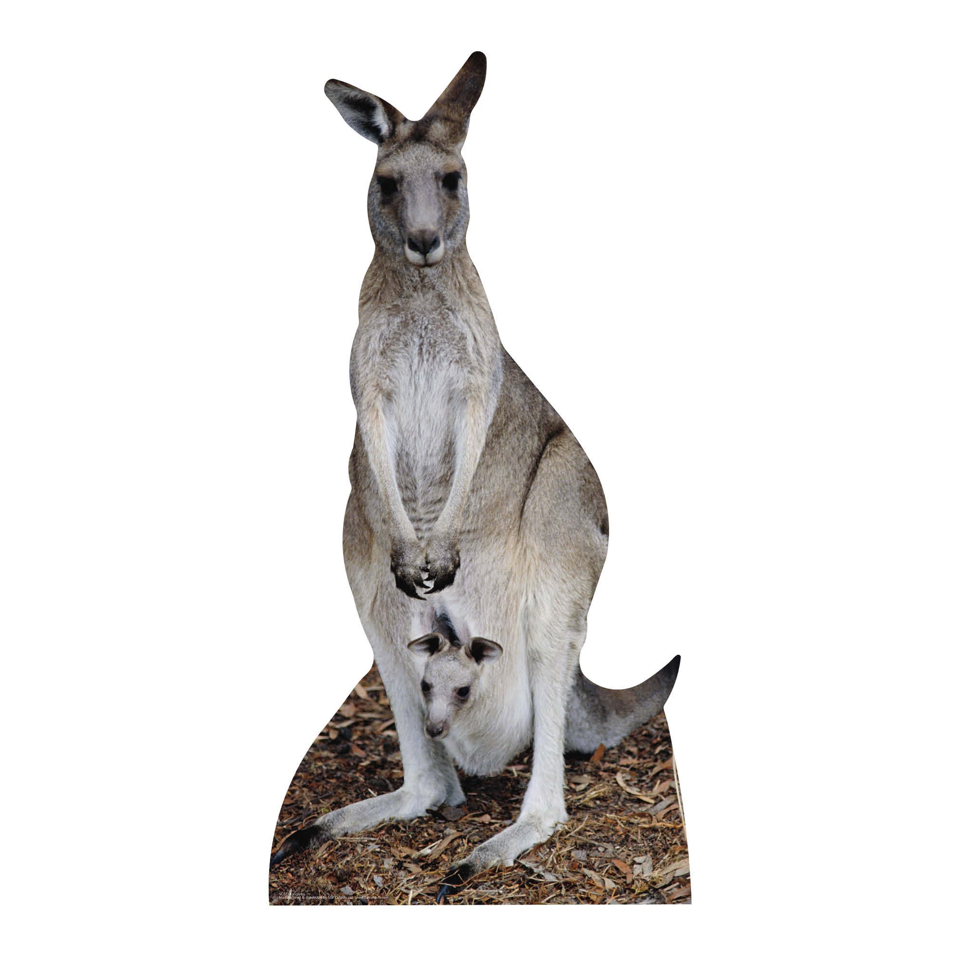 Kangaroo Australia Wildlife Theme Animal Cardboard Cutout - mycardboardcutout