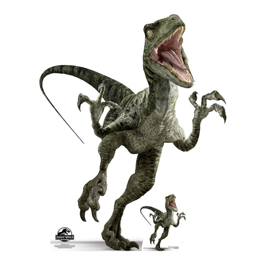 Official Jurassic World Charlie Raptor Dinosaur Cardboard Cutout