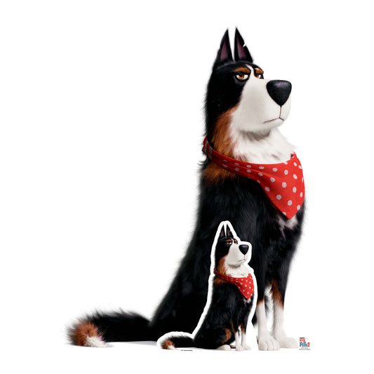 Rooster Sheepdog Secret Life of Pets Cardboard Cutout - mycardboardcutout