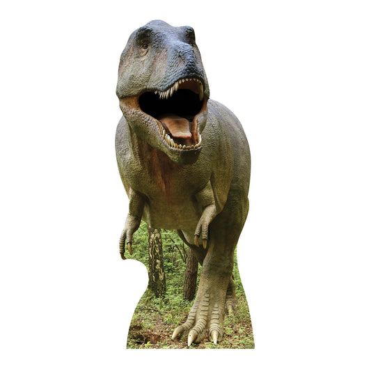 Tyrannosaurus Rex Dinosaur Animal Cardboard Cutout - mycardboardcutout