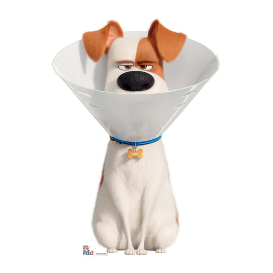 Max the Dog wearing a Cone Collar Cardboard Cutout - mycardboardcutout