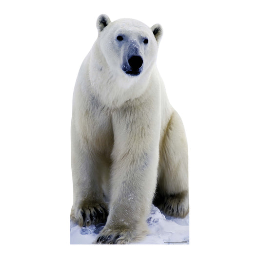 Polar Bear Artic Theme Animal Cardboard Cutout Height 185cm Width 96cm - mycardboardcutout