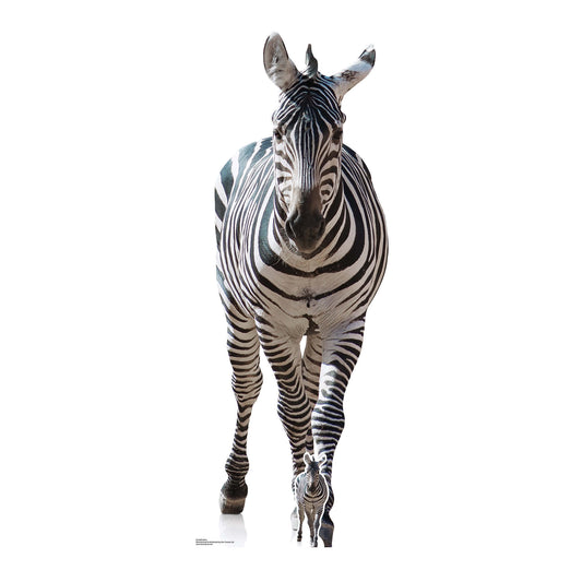 Zebra Black and White Jungle Safari Theme Animal Cardboard Cutout - mycardboardcutout