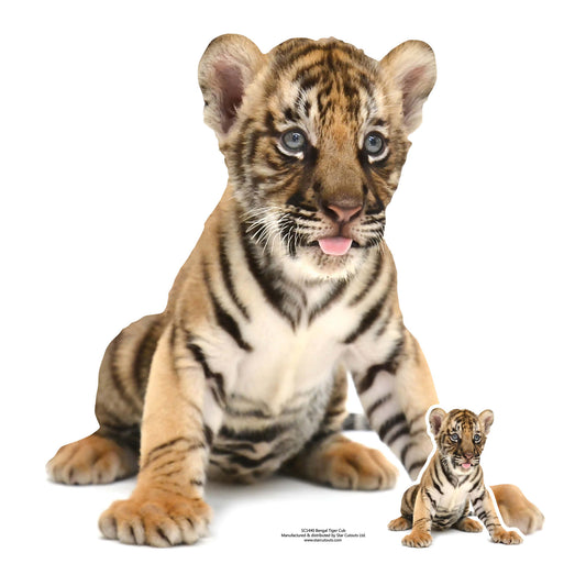 Bengal Tiger Cub Sitting Jungle Safari Theme Animal Cardboard Cutout - mycardboardcutout
