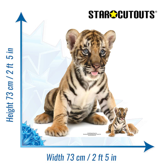 Bengal Tiger Cub Sitting Jungle Safari Theme Animal Cardboard Cutout - mycardboardcutout