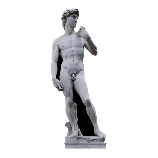 Michelangelo's David Statue Cardboard Cutout - mycardboardcutout