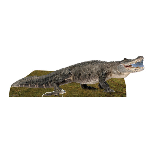 Fresh Water Alligator  Jungle Safari Theme Animal Cardboard Cutout