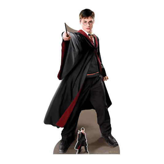 Harry Potter Quidditch Captain Cardboard Cutout Lifesize - mycardboardcutout