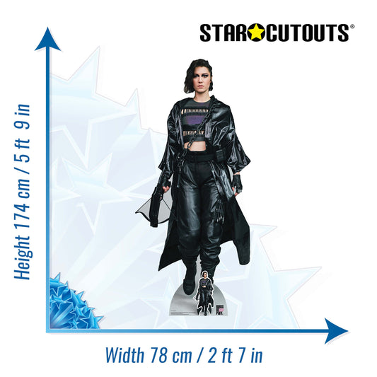 Huntress Birds of Prey Mary Elizabeth Winstead Cardboard Cutout - mycardboardcutout