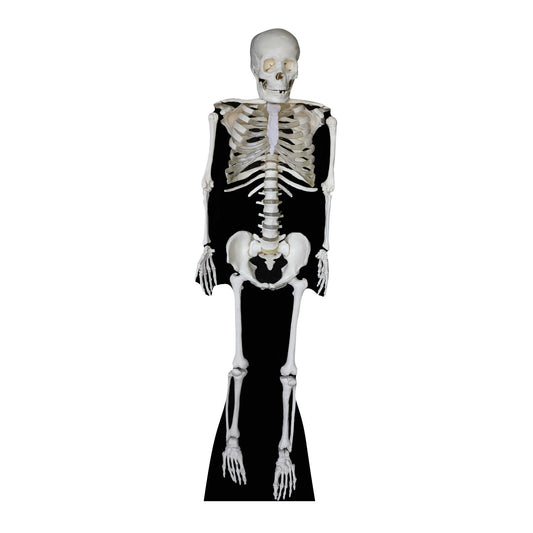 Skeleton Cardboard Cutout Lifesize