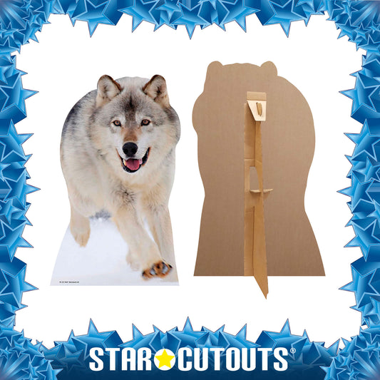 Wolf Jungle Safari Theme Animal Cardboard Cutout - mycardboardcutout