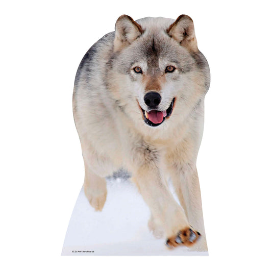 Wolf Jungle Safari Theme Animal Cardboard Cutout - mycardboardcutout