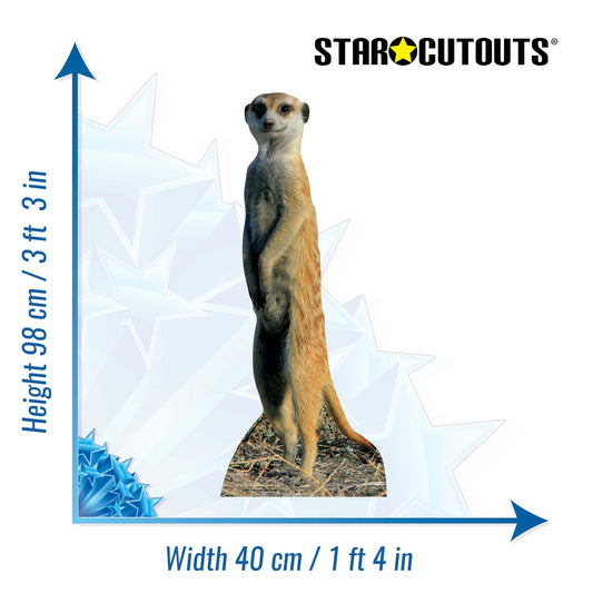 Meerkat Jungle Safari Theme Animal Cardboard Cutout - mycardboardcutout