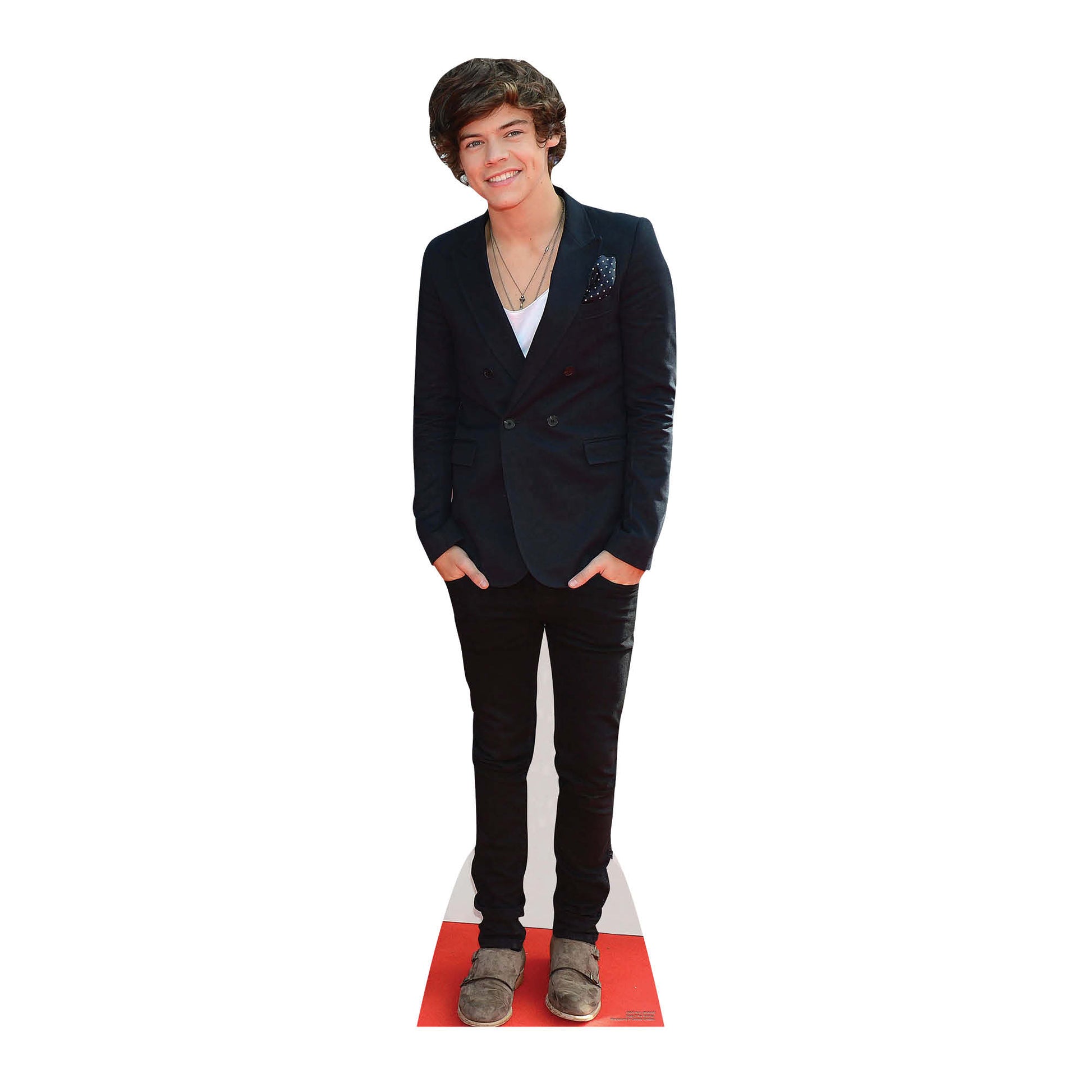 Harry Styles Boyband Cardboard Cutout - mycardboardcutout