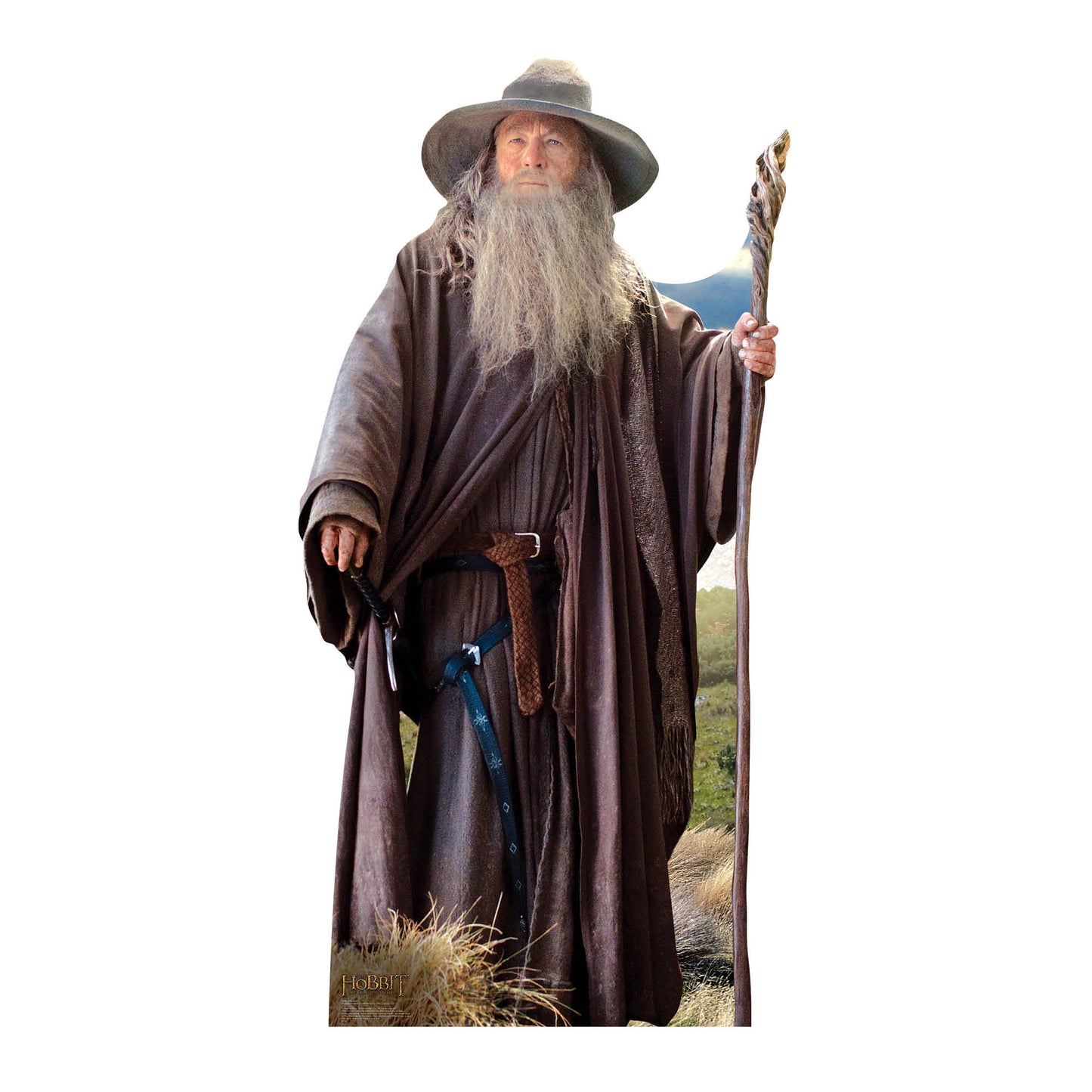 Gandalf The Hobbit Cardboard Cutout Lifesize - mycardboardcutout