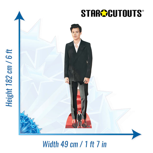 Harry Styles Red Shoes Cardboard Cutout - mycardboardcutout