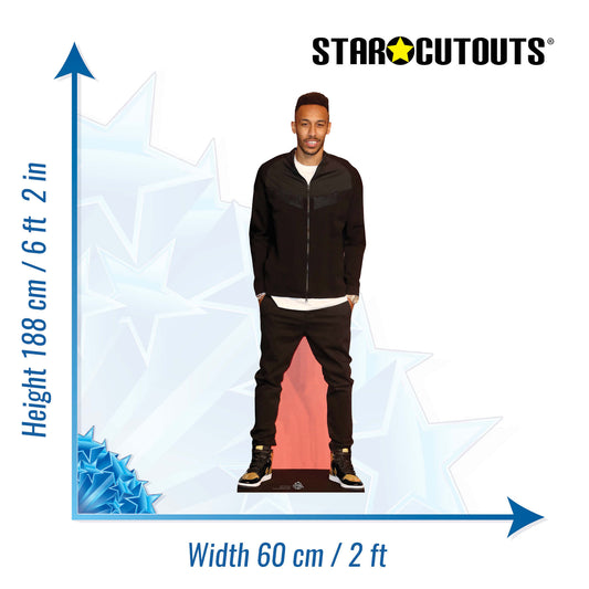 Pierre Emerick Cardboard Cutout - mycardboardcutout