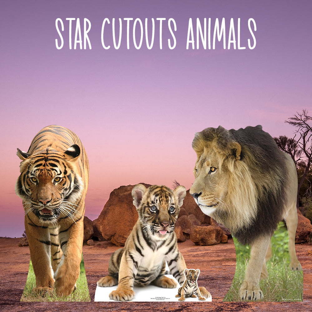 Tiger Jungle Safari Theme Animal Cardboard Cutout - mycardboardcutout