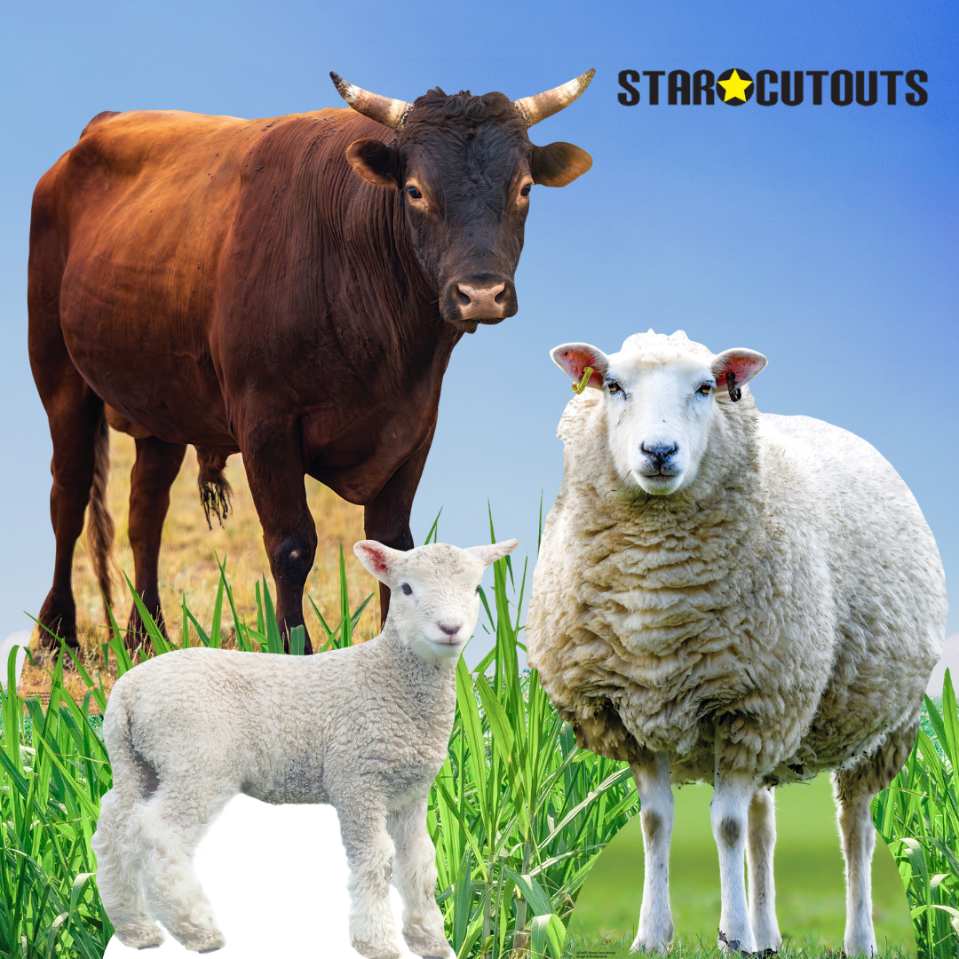 SC4437 Sheep Farm Animal Cardboard Cut Out Height 94cm - mycardboardcutout