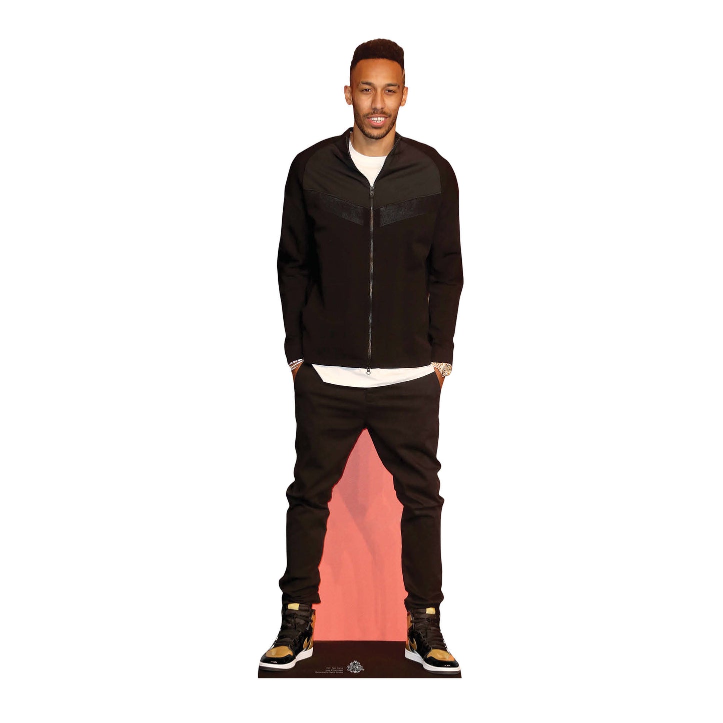 Pierre Emerick Cardboard Cutout - mycardboardcutout
