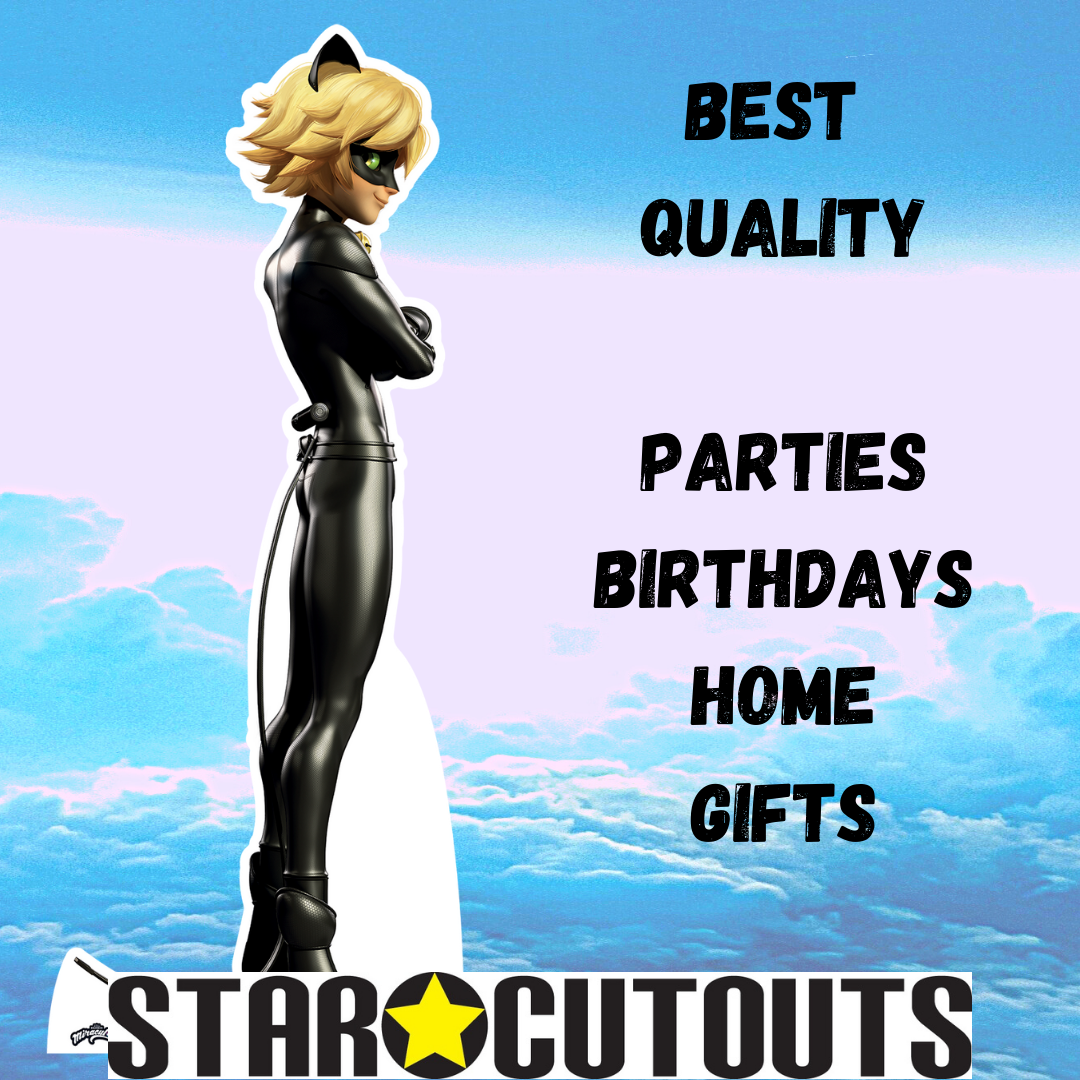Cat Noir Cardboard Cutout Miraculous Tales of Ladybug & Cat Noir - mycardboardcutout