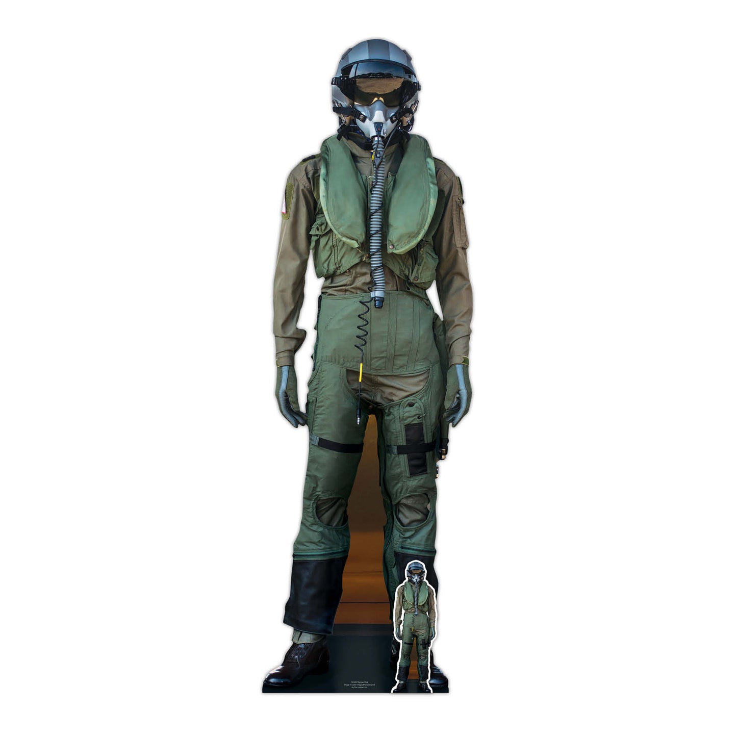 Fighter Pilot Cardboard Cutout - mycardboardcutout