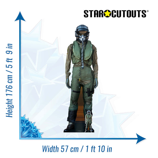 Fighter Pilot Cardboard Cutout - mycardboardcutout