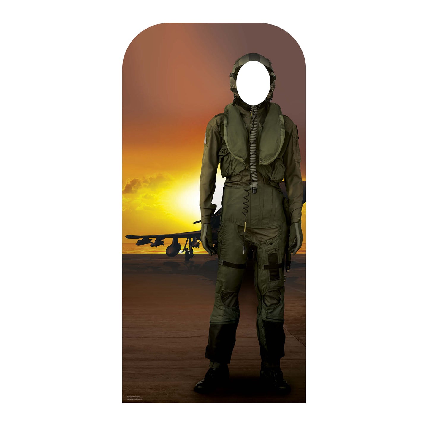 Fighter Pilot Stand In Cardboard Cutout - mycardboardcutout