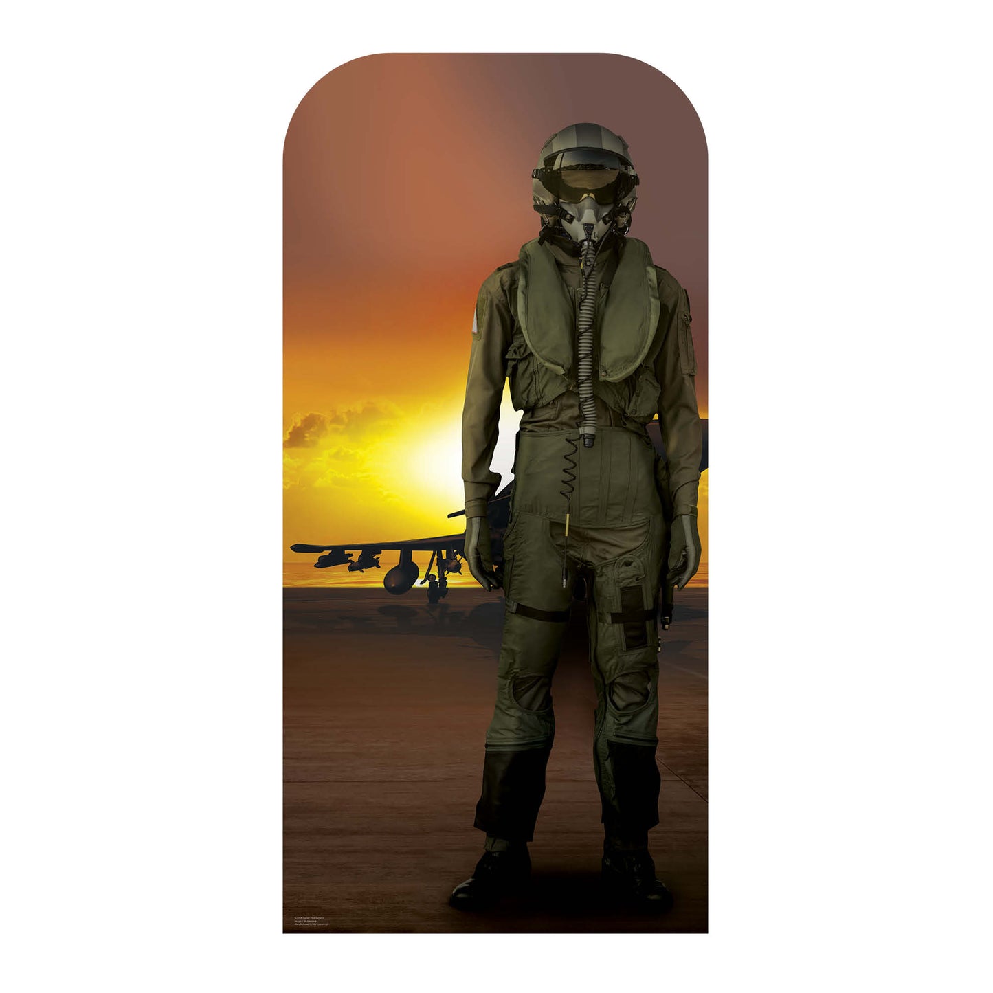 Fighter Pilot Stand In Cardboard Cutout - mycardboardcutout