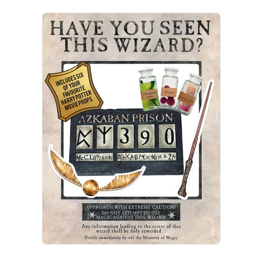 Cardboard Cutout Harry Potter Wanted Poster White Selfie Frame Have You Seen This Wizard? - mycardboardcutout