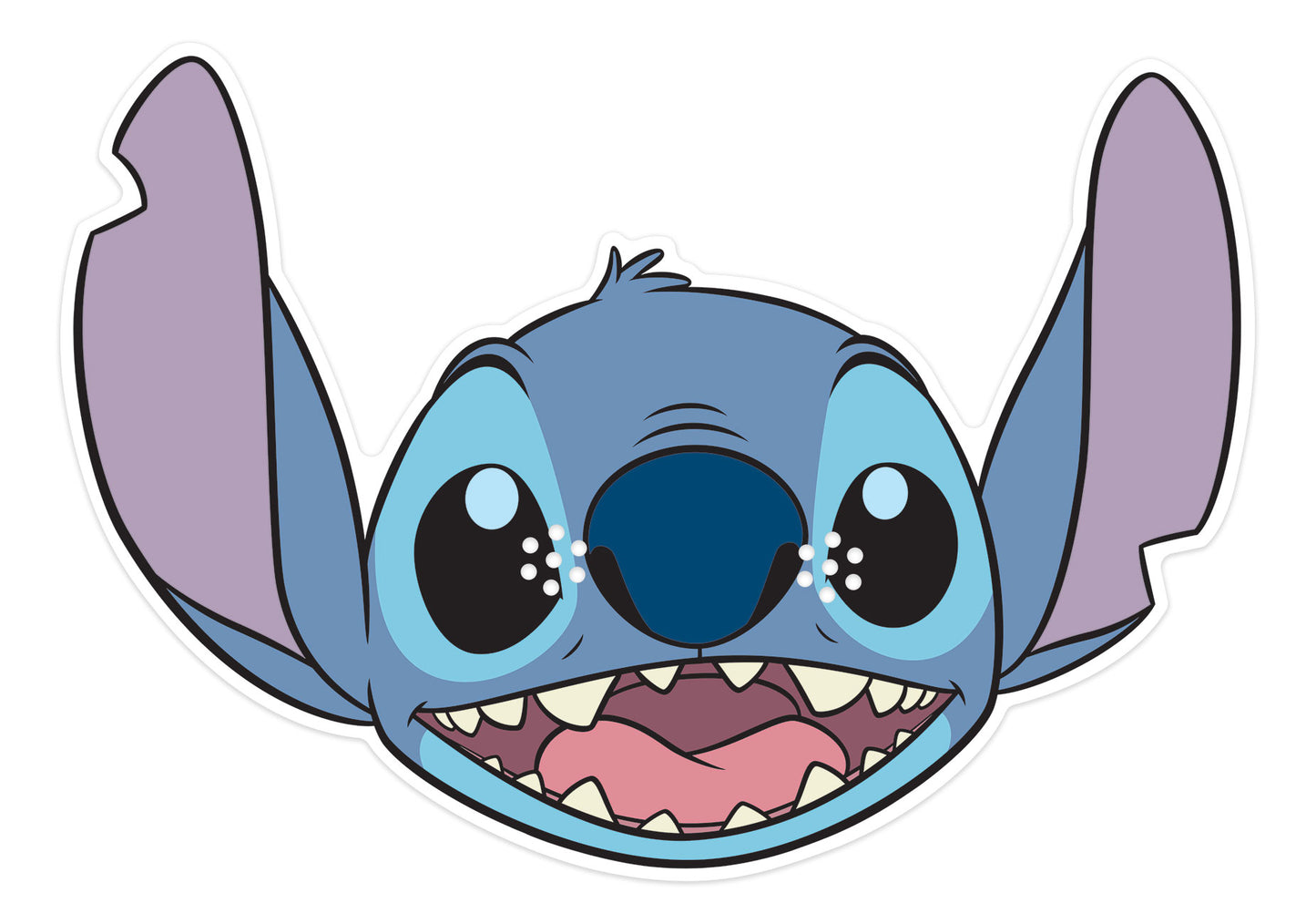 SM455 Stitch Lilo and Stitch  Lilo and Stitch Single Face Mask
