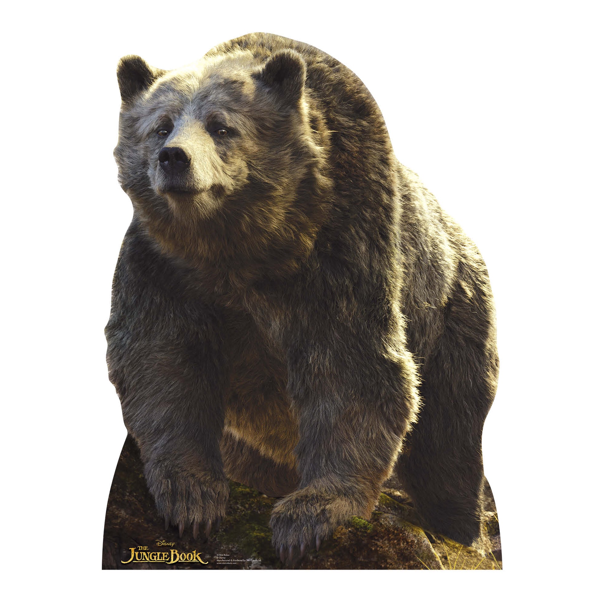Baloo The Bear Live Action Jungle Book Cardboard Cut Out Height 134cm –  mycardboardcutout