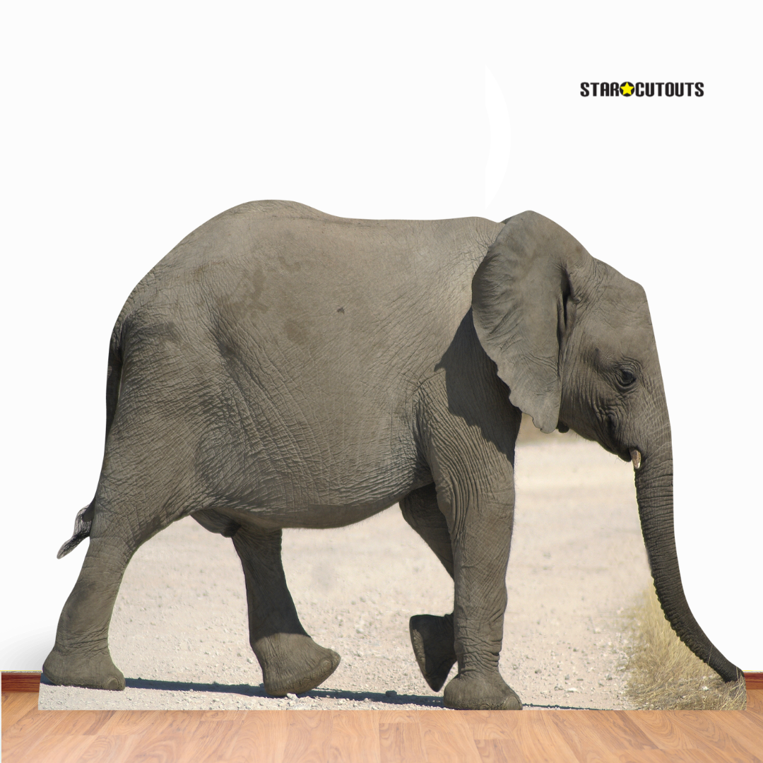 Baby Elephant Jungle Safari Theme Animal Cardboard Cutout - mycardboardcutout