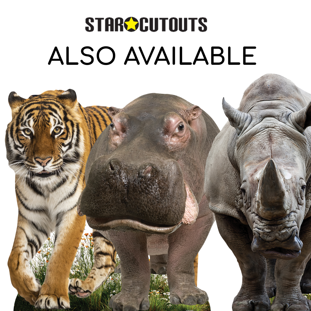 SC4854 Wild Tiger Prowling Cardboard Cutout Height 93cm