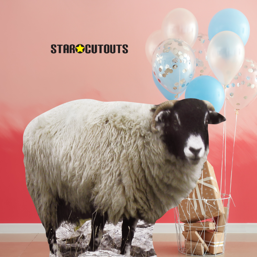 Sheep British Wildlife, Farm and Countryside Theme Animal Cardboard Cutout - mycardboardcutout