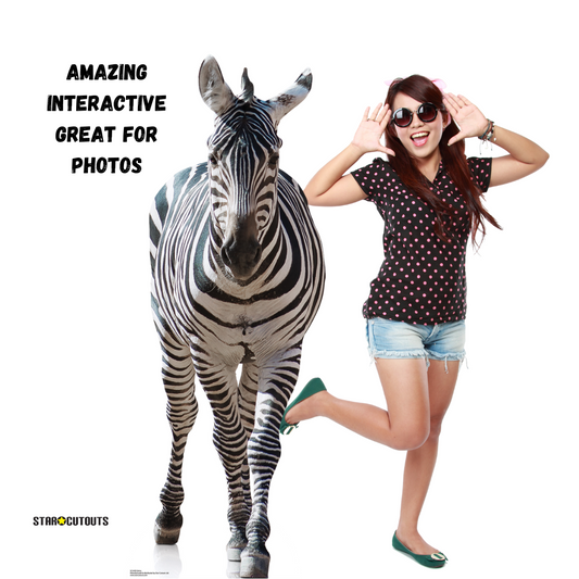 Zebra Black and White Jungle Safari Theme Animal Cardboard Cutout - mycardboardcutout