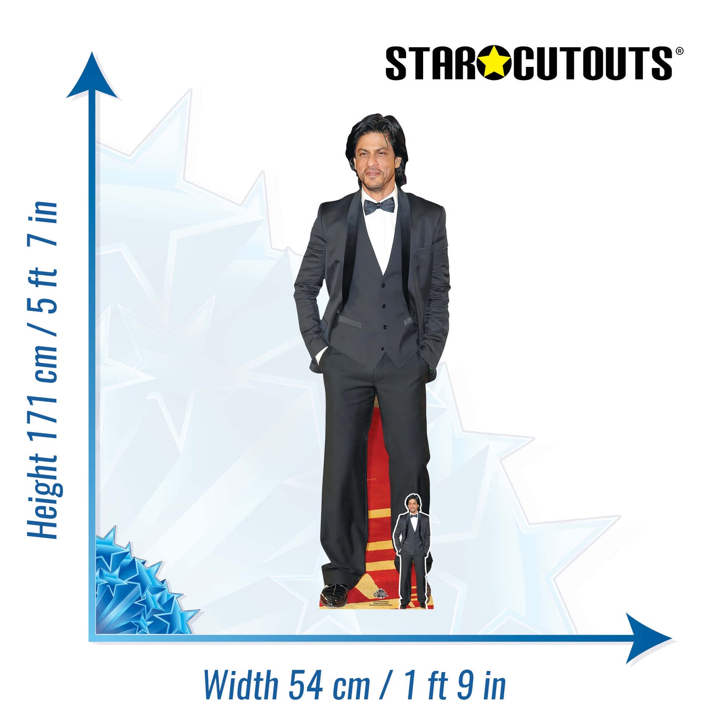 CS1119 Shah Rukh Khan Longhair Height 171cm Cardboard Cutout