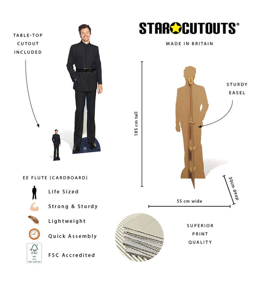 CS1275 Happy Harry Styles Lifesize Cardboard Cutout With Mini Cutout