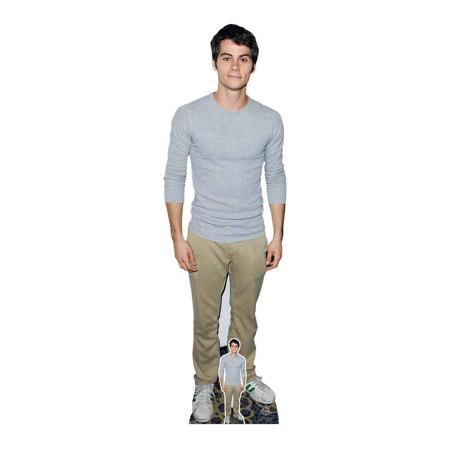 CS884 Dylan O'Brien (Grey Shirt) Height 179cm Lifesize Cardboard Cut Out With Mini