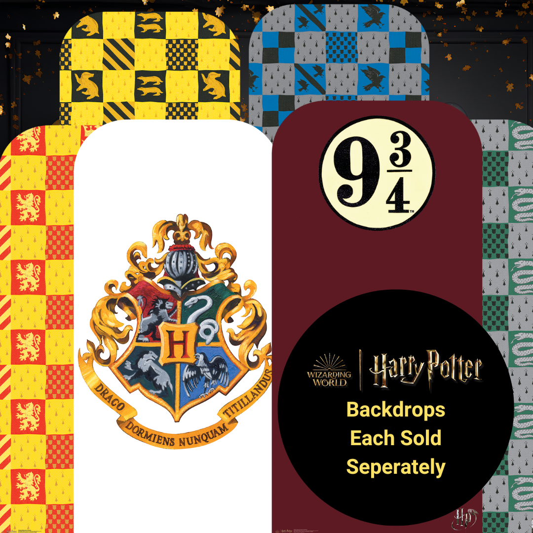 SC4447 Slytherin Hogwarts House Backdrop Harry Potter Cardboard Cut Out Height 193.00cm