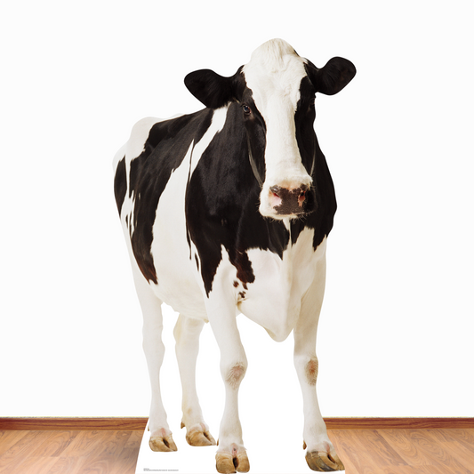 Cow British Countryside and Farm Theme Animal Cardboard Cutout