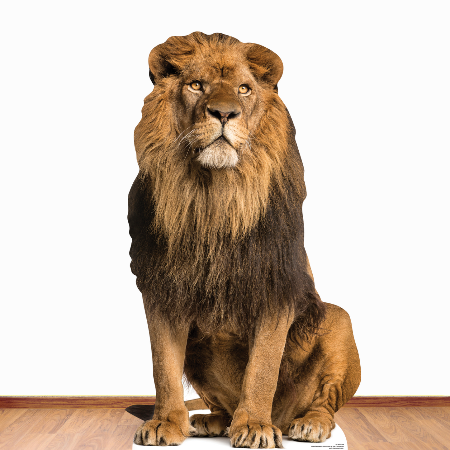 Adult Male Lion Sitting Jungle Safari Theme Animal Cardboard Cutout - mycardboardcutout