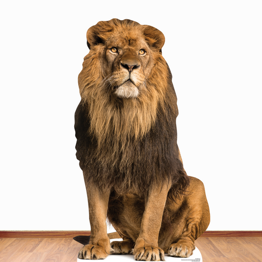 Adult Male Lion Sitting Jungle Safari Theme Animal Cardboard Cutout