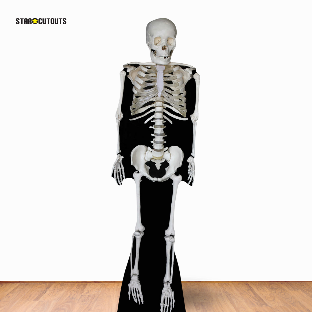 Skeleton Cardboard Cutout Lifesize - mycardboardcutout