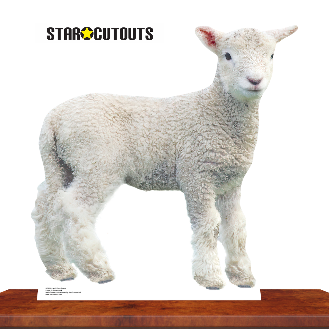 SC4438 Lamb Farm Animal Cardboard Cut Out Height 74cm