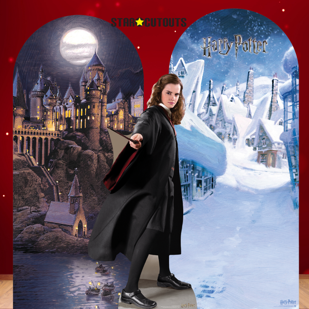 SC4521 Nighttime Hogwarts Backdrop Single - FSC Cardboard Cut Out Height 185cm