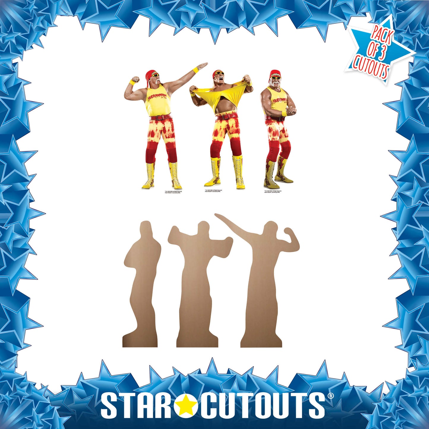 SC4580  Hulk Hogan Three Shelf Top Cardboard Cut Out Height 30cm