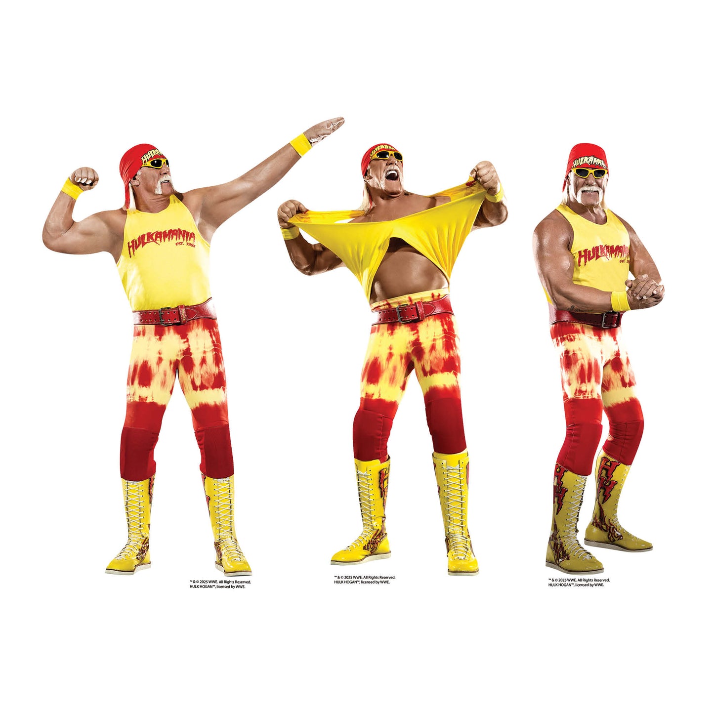 SC4580  Hulk Hogan Three Shelf Top Cardboard Cut Out Height 30cm
